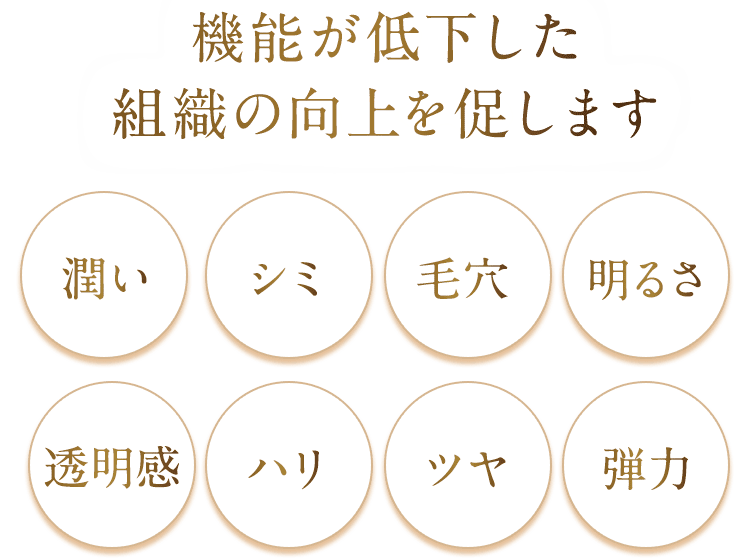 機能が低下した組織の向上を促します