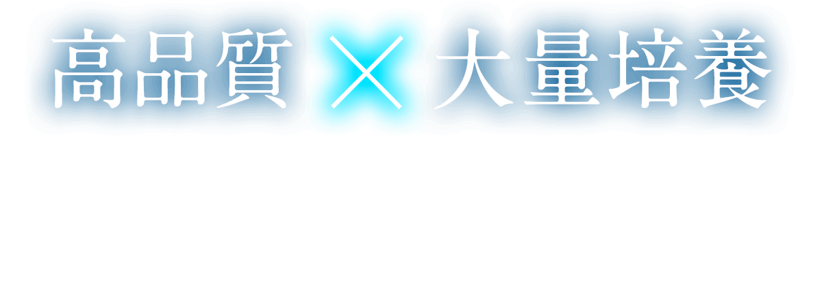 高品質×大量培養を支える細胞加工センターとたしかな品質保証