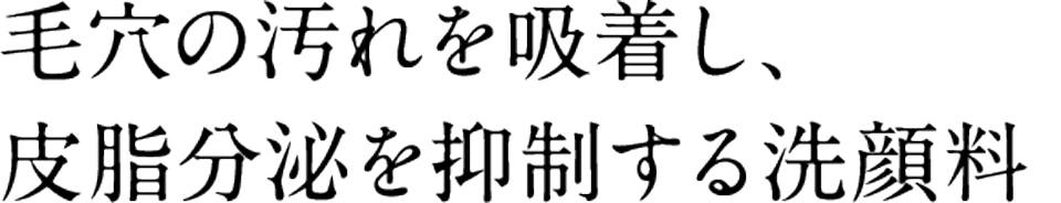毛穴の汚れを吸着し、皮脂分泌を抑制する洗顔料