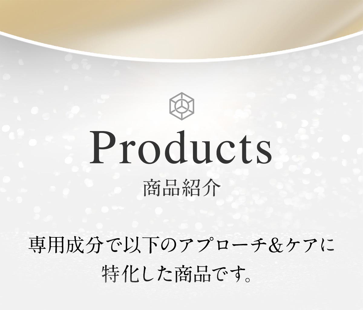 Products 商品紹介